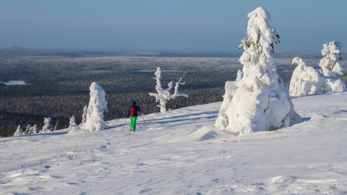 Sniego Batų Sniego Batų Važiavimas, Finland, Laplandas, Žiemą, Žiemos Nuotaika, Šaltas, Äkäslompolo