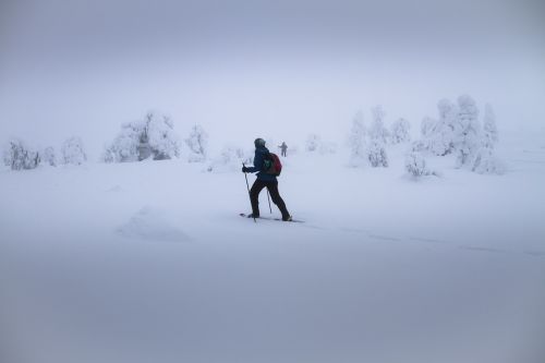 Sniego Batų Trekas, Snowshoe, Rūkas, Rūkas, Sniegas, Žiema, Finland