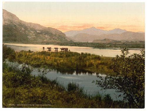 Viešasis & Nbsp,  Domenas,  Vintage,  Spaudiniai,  Fotokromatas,  Nuotrauka,  Fotomechaniniai,  Istorinis,  Senovės,  Senas,  Vietos,  Lauke,  Scena,  Vaizdingas,  Gamta,  Kraštovaizdis,  Kaimas,  Šalis,  Snowdon,  Velso,  Slėnis,  Vanduo,  Upė,  Ežerai,  Karvės,  Snowdon Wales