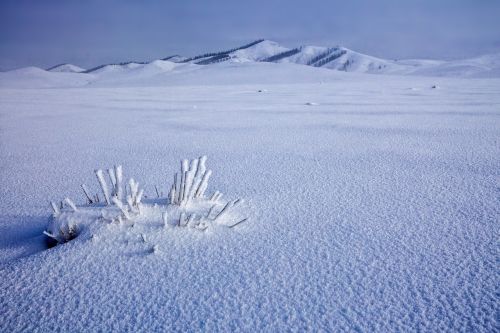 Sniego Sniegas, Sušaldyta, Žiema, Bogarto Kaimas, Gruodžio Mėn ., Mongolija