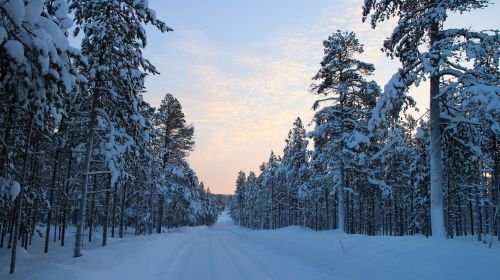 Snieguotas Kelias, Žiema, Miško Kelias, Šaltas, Arktinė, Šaltis, Arktinis Apskritimas, Laplandas, Finland
