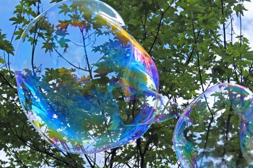 Muilo Burbulas, Svajones, Svajonė, Vaivorykštinis, Milžiniški Burbuliukai, Vasara, Fantazija, Magija, Burbulas, Milžiniški Muilo Burbuliukai
