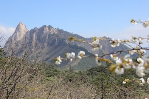 Sokcho, Mt Seoraksan, Smailės