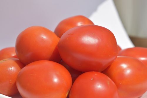 Solanum Lycopersicum, Pomidorai, Raudona, Vaisiai