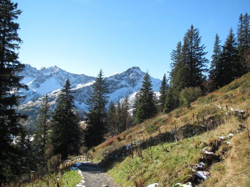 Krioklys, Sniegas, Eglės, Panorama, Gamta, Allgäu, Alpių