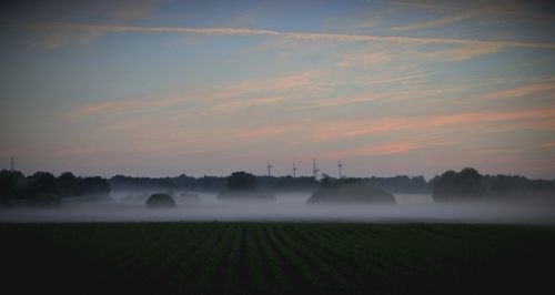 Rūkas,  Kraštovaizdis,  Miškas,  Gamta,  Migla,  Rytas,  Saulėtekis Rūke