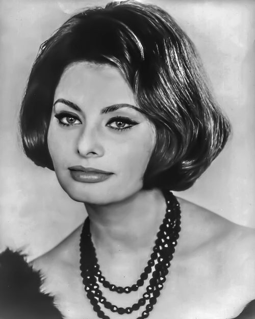 Sophia Loren, Moteris, Portretas, Holivudas, Filmas, Tv, Aktorė, Prisegti