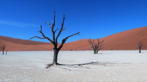 Sossusvlei, Namibija, Kontrastingos Spalvos, Molinė Puodynė, Dykuma, Sausas