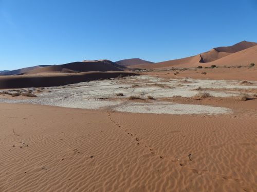 Sossusvlei, Dykuma, Namibija, Druskos Ir Molio Indai, Raudona, Geležies Oksidas