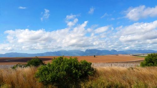 Pietų Afrika, Kraštovaizdis, Gamta