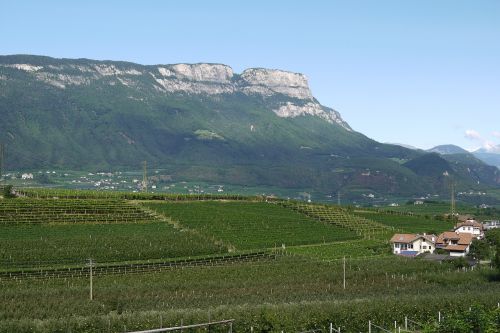 South Tyrol, Vynuogynai, Kalnai