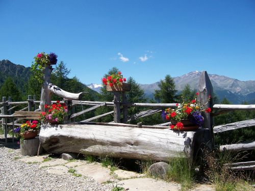 South Tyrol, Kalnai, Alm, Alpių, Gamta