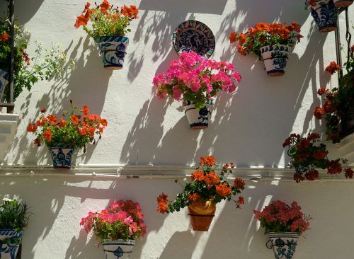 Ispanija, Andalūzija, Gėlių Sienos, Geraniums