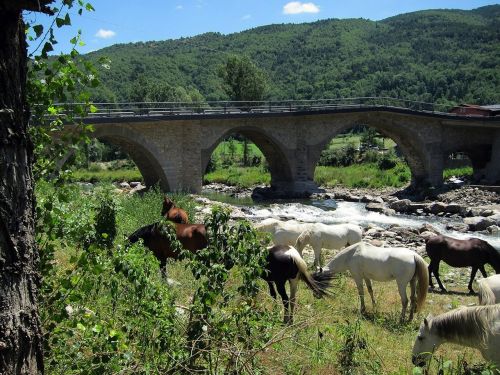 Ispanija, Kraštovaizdis, Tiltas, Arkliai, Gyvūnai, Architektūra, Kalnai, Dangus, Debesys, Vaizdingas, Žolė, Augalai, Srautas, Upė, Vanduo, Akmenys, Slėnis, Miškas, Medžiai, Miškai, Gamta, Lauke, Šalis, Kaimas, Kaimas, Vasara, Pavasaris