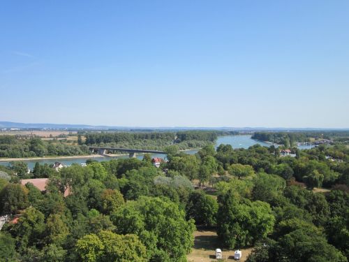 Speyer,  Katedra,  Salierbrücke,  Vaizdas,  Panorama,  Rinas,  Medžiai,  Augmenija,  Parkas