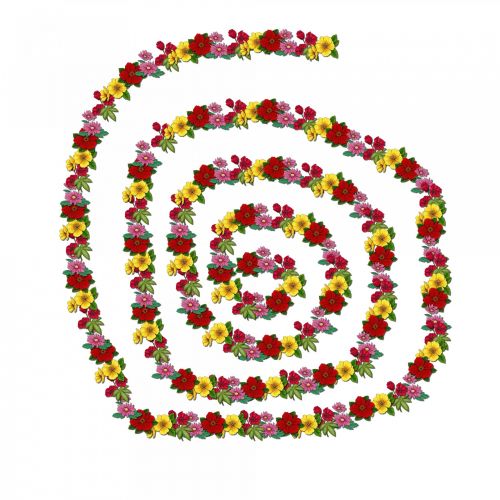 Spiralė,  Gėlė,  Modelis,  Figūra,  Balta & Nbsp,  Fonas,  Spiralė 2