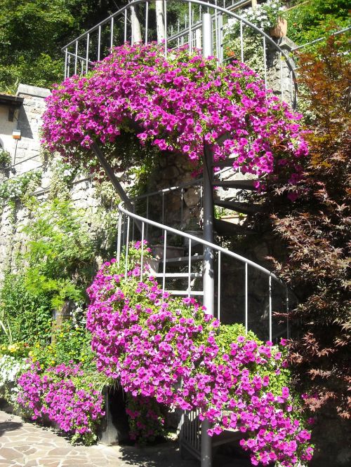 Spiraliniai Laiptai, Italy, Gėlės, Laiptai