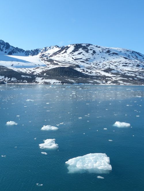Spitsbergenas, Ledas, Ledas, Šaltas, Vanduo