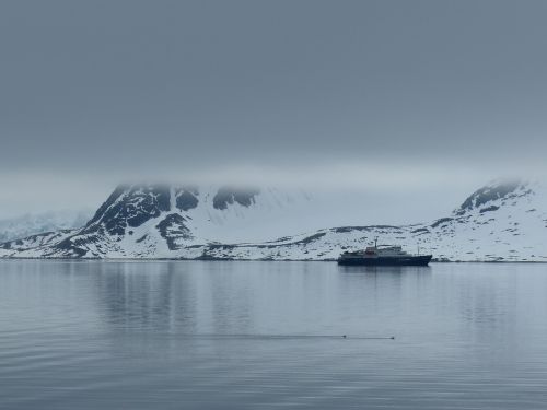 Spitsbergenas, Ekspedicija, Rūkas, Sniegas