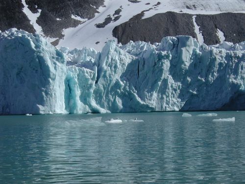 Spitsbergenas,  Ledynas,  Ledas