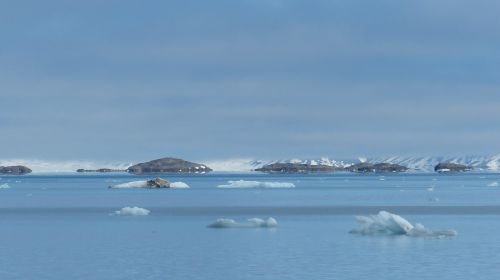 Spitsbergenas, Norvegijos Jūra, Ledas, Vienišas, Vis Dar, Šaltas, Sniegas, Vanduo, Jūra