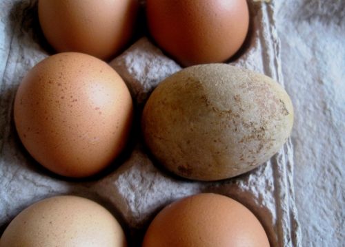 Kiaušiniai,  Dėžė,  Pusė & Nbsp,  Dešimtis,  5 Natūrali,  1 & Nbsp,  Akmuo,  Vietoje Akmens Kiaušinis