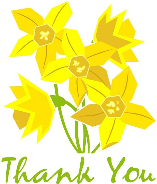 Pavasaris, Narcizai, Geltona, Dėkoju, Ačiū, Augalas, Gamta, Augimas, Botanika, Sezonas, Žydėti, Dėkingi, Dėkingumas, Dėkingas