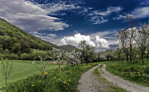 Pavasaris, Gamta, Kraštovaizdis