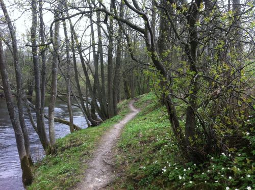 Pavasaris, Švedija, Lauke