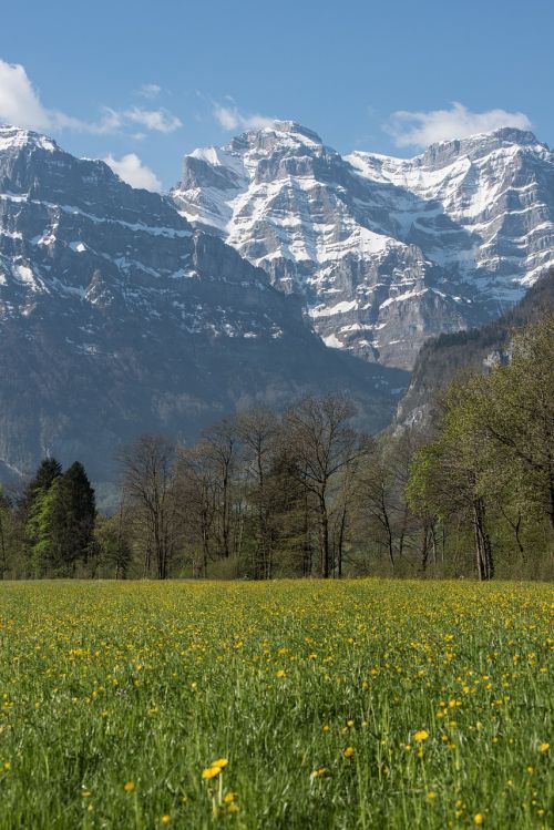 Pavasaris, Glarus Kantonas, Kalnai, Gėlės, Pieva, Šveicarija, Glarus