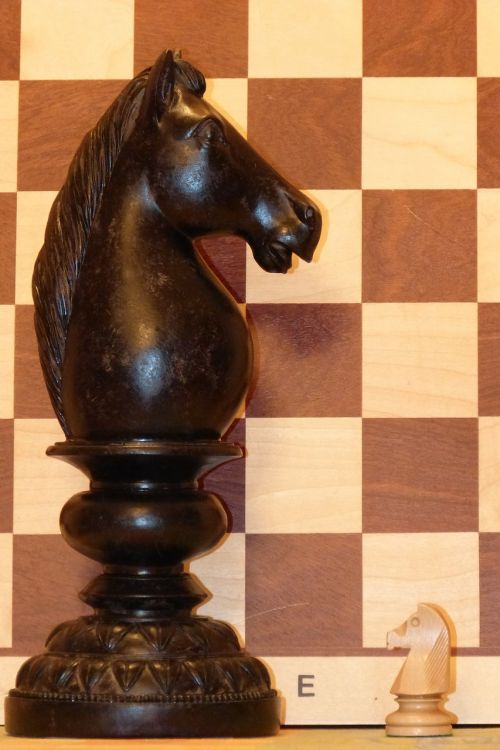 Springeris, Šachmatai, Šachmatų Figūrėlė, Arklys, Rössl, Šachmatų Lenta, Žaisti, Strategija, Davidas Prieš Goliatus