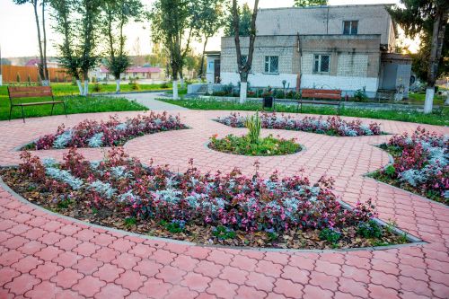 Kvadratas, Krivskoe, Rusija, Sodas, Parkas, Gėlės, Sodo Gėlė, Plytelės, Pėsčiųjų