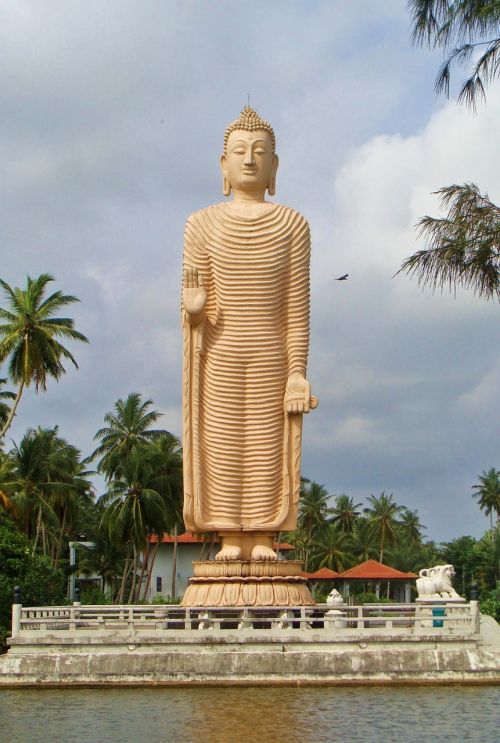 Šri Lanka, Buda, Statula, Figūra, Budizmas, Didžioji Statula