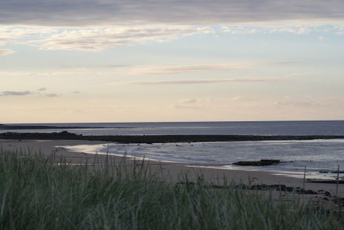 St Combs Beach, Fraserburgh, Aberdeenshire, Škotija, Pakrantės, Gamta