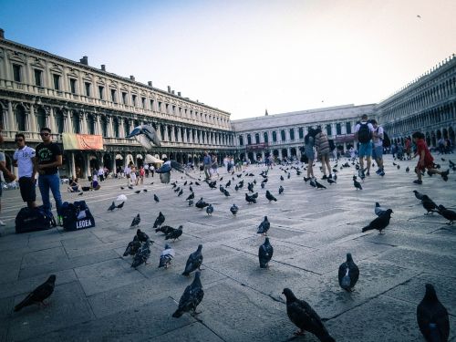 St Marko Aikštė, Piazza San Marco, Venecija, Italy, Balandžiai, Paukščiai, Žmonės, Turistai