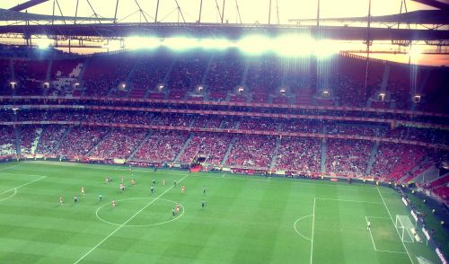 Stadionas, Futbolas, Benfica, Žaidėjas, Portugal, Lisbonas