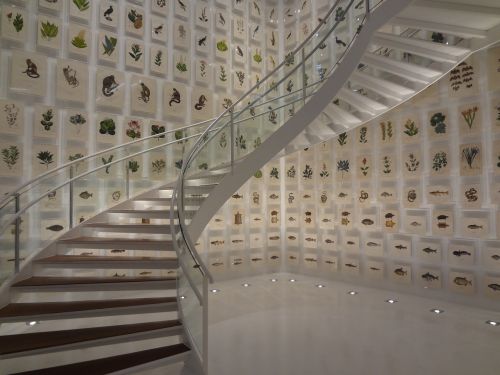 Laiptai, Brazilijos Kolekcija, Kultūros Institutas Itaú, San Paulas , Royalty Free