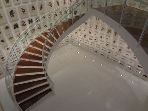 Laiptai, Kultūros Institutas Itaú, San Paulas Brazilijos Kolekcija, Royalty Free