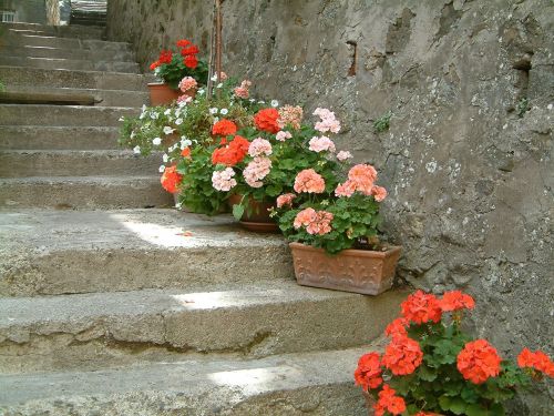 Laiptai, Toskana, Akmenys, Šventė