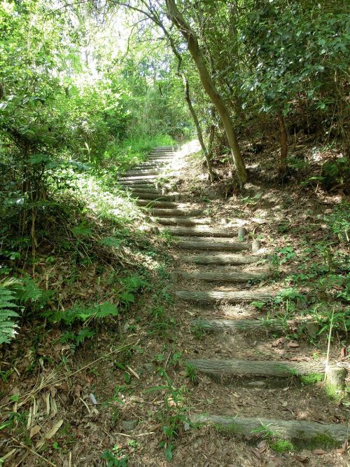 Laiptai,  Miškas,  Laiptai,  Žingsnis,  Vaikščioti,  Kelias,  Gamta,  Kelias,  Kalnas,  Kelias,  Žalias,  Medis,  Takas,  Mediena,  Pėsčiųjų Takas
