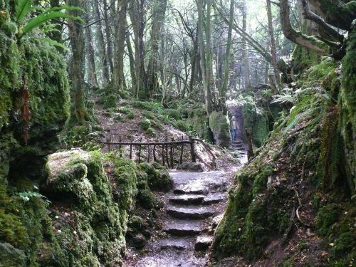 Laiptai, Miškas, Mistinis, Burbuliukas, Anglija