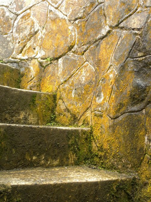 Laiptai, Akmuo, Amžius, Samanos, Žalias, Puerto Rico