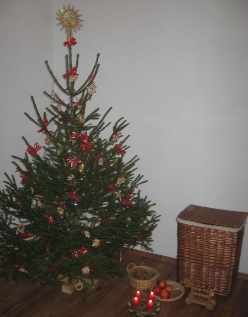 Kalėdos,  Medis,  Senoji Bohemijos Kalėdos