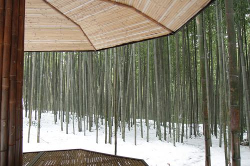 Būklė Laimėtojoje, Namwon, Bambukas, Belvedere, Žiema, Sniegas