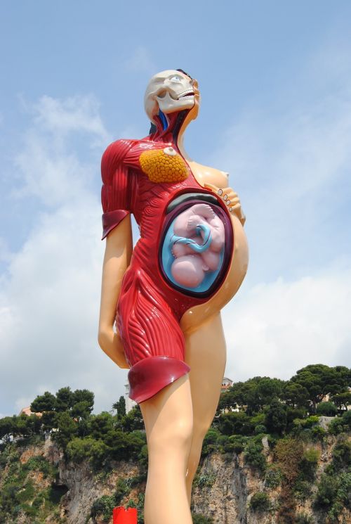 Statula, Monaco, Okeanografijos Muziejus, Damien Hirstas, Paroda, Nėščia, Vaikas Viduje, Žmogus, Anatomija