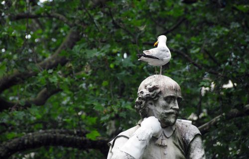 Statula, Parkas, Paukštis, Balandis
