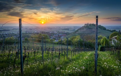 Staufen, Staufen Im Brisgau, Plaukti, Baden-Viurtembergas, Südbaden, Fribourg, Markgraeflerland, Schauinsland, Reino Slėnis, Senamiestis, Munster, Blogas Krozingen, Grunern, Wettelbrunn