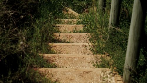 Žingsniai, Laiptai, Žolė, Takas, Gamta, Vaikščioti, Asmuo