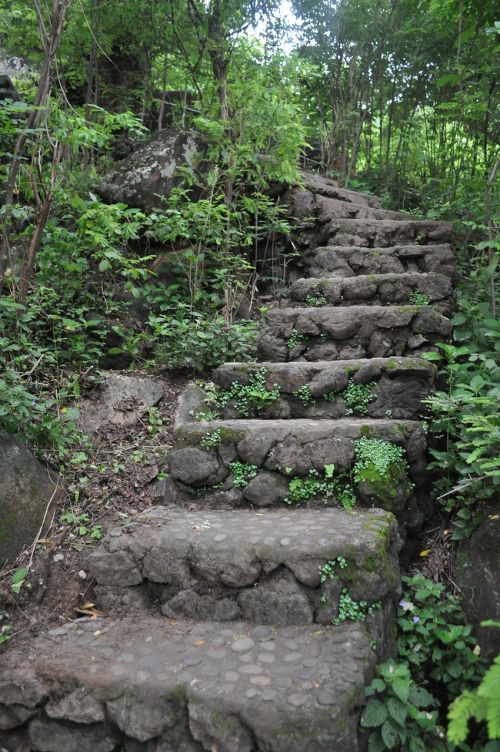 Žingsniai, Laiptai, Žalias, Akmuo, Miškas, Gamta