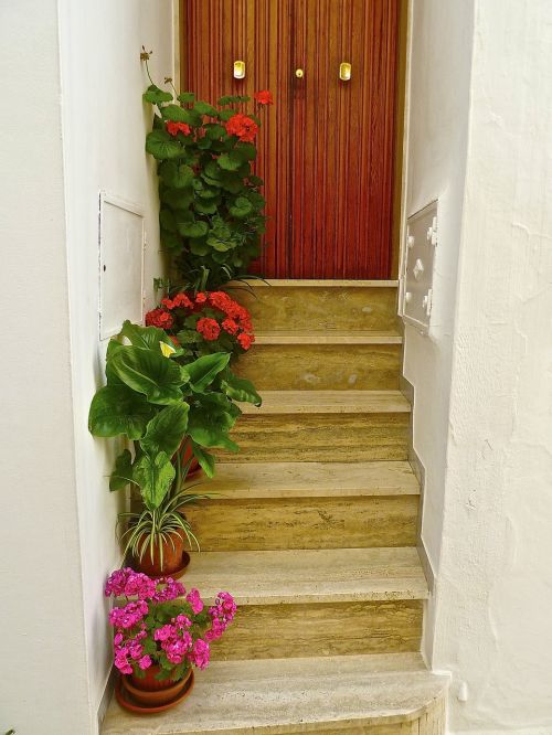 Žingsniai, Gėlės, Įėjimas, Sveiki, Laiptinė, Namai, Augalai, Kvietimas